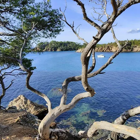 Апартаменты Cotepiscine