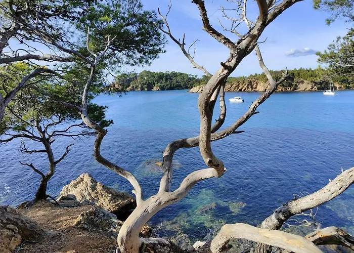 דירה Cotepiscine