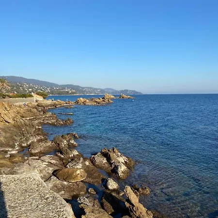 Cotepiscine Apartmán Le Lavandou